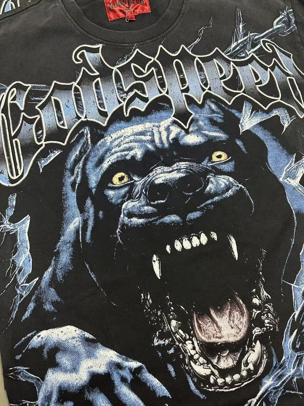 Godspeed Panther Graphic Washed Black T-Shirt